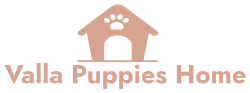 Valla Puppies Home